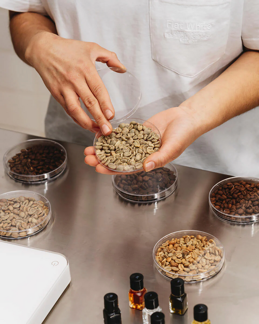 Vuelta al cole: aprende sobre café y conviértete en barista