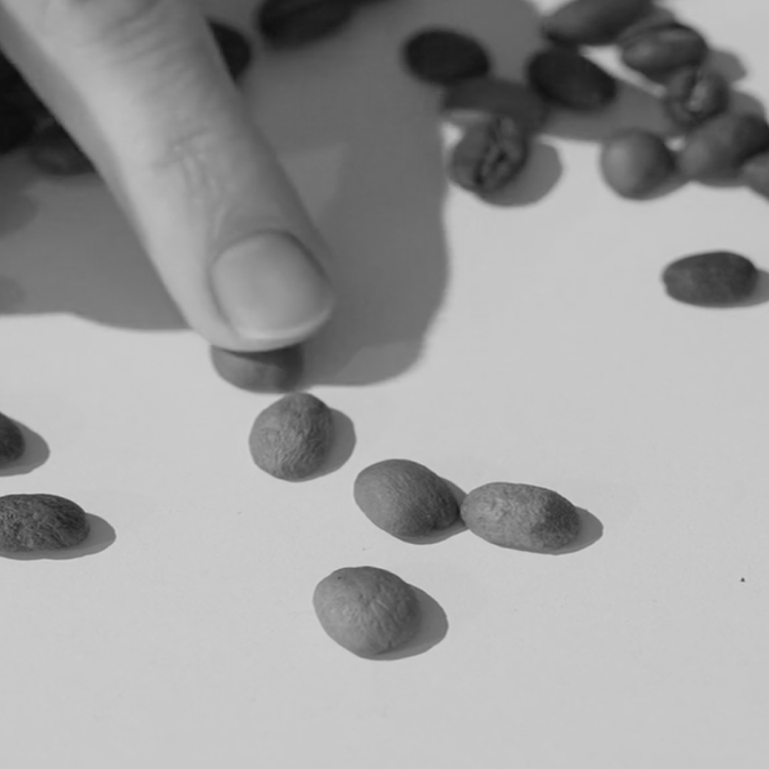 ¿QUÉ ES UN DEFECTO DE QUAKER?